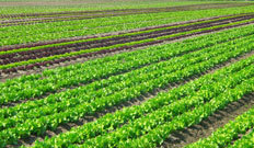 山東礦安重工礦用扒渣機(jī)公司