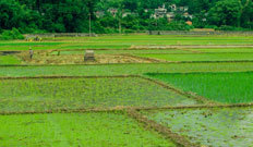 山東礦安重工礦用扒渣機(jī)公司
